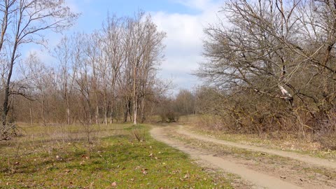 THE BEGINNING OF SPRING 2022 In the forests of Chechnya Nature of the Caucasus birdsong sounds of