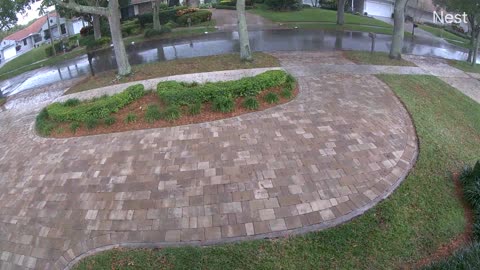 Lightning Strikes Oak Tree And Scatters Debris