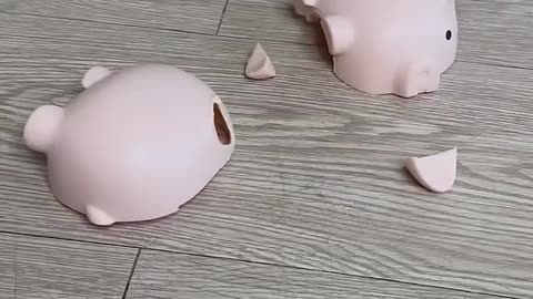 Cat broke my piggy bank