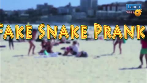 Best Scary Snake prank at bondi beach, Australia Most hillariuos Prank