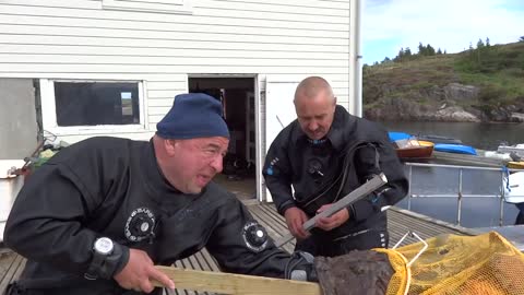 Fish eats diver's hand!