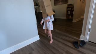 Silly Kid Videos ~ Walks Box on Head ~ Bumps Wall