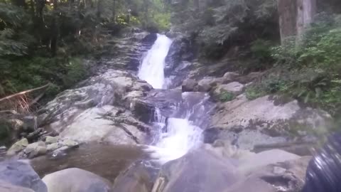 My Dog slips into waterfall pool