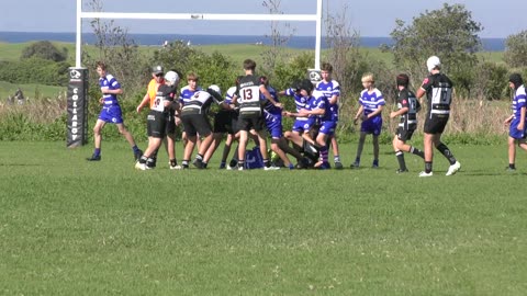 Collaroy v Newport