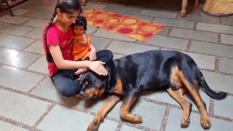 cute Dog video dog and baby playing