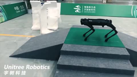 CHINA'S ROBOT DOG ARMY