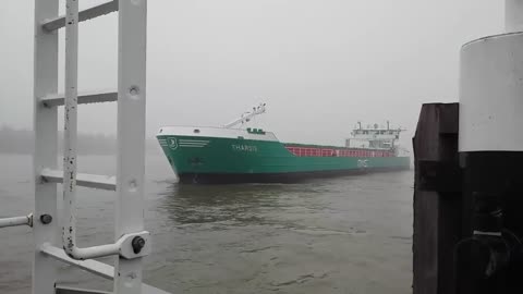 mv THARSIS Gorinchem