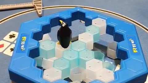 Penguin ice game