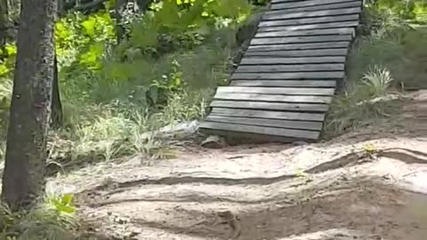 Mountain bike hill ramp fail falls off into grass hits branch