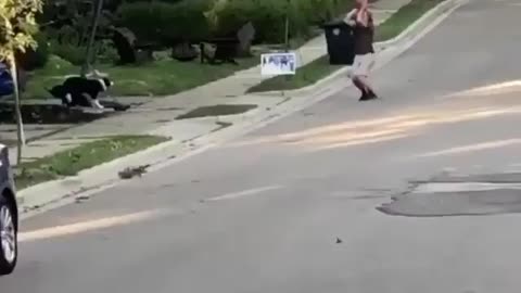 His dog wasn't missing any rebounds 😂🙌