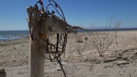 Bombay Beach