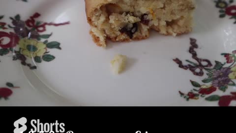 1859 Orange Cinnamon Cake with Raisins