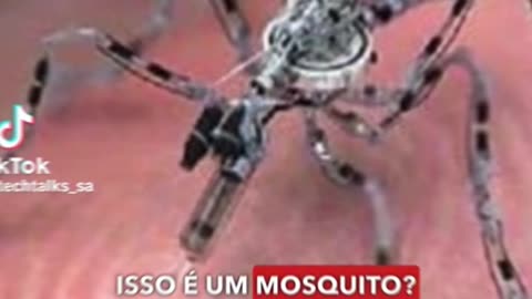 O INSETO DRONE ESPIÃO DO SISTEMA!!!