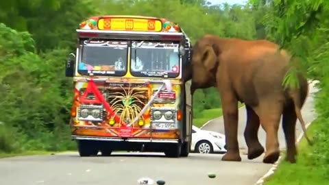 Power of Elephant