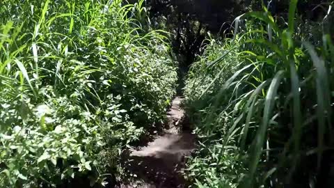 Pipiwai Trail, Oheo Gulch, Road to Hana, Maui, July 2016