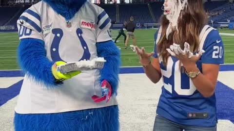 Interaction between Little Blue Horse and Little Sister