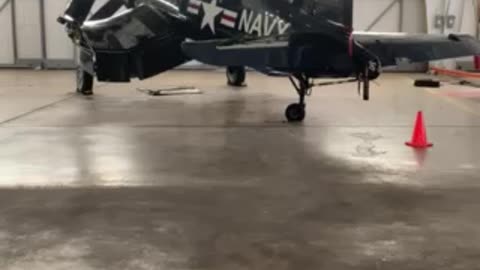 F4u and p51