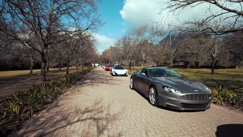 Luxury Sports Cars Parked on the Street