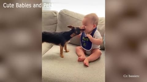 Delightful doggies love infants gathering