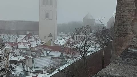 Kohtuotsa Viewing Platform | Tallinn Old Town | Panoramic View | Estonia | UNESCO World Heritage