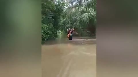 Pet lover carries two dogs on his shoulders during flood in Thailand