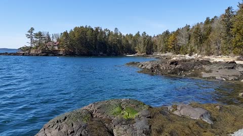 Rocky Coast of Eggemoggin Reach