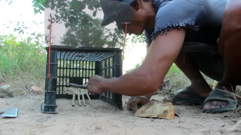 Simple Wild Cat Trap Using Plastic Basket