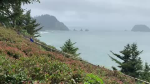 Cape Meares Lighthouse