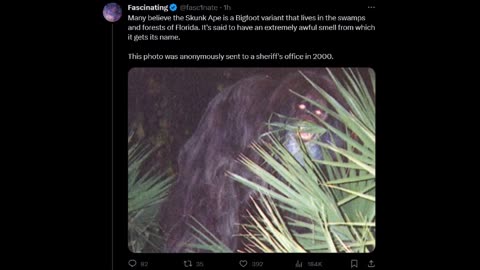 Fascinating - Skunk Ape