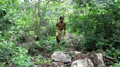 Adventure in forest - Find Fruit In The Jungle - Eating santol delicious