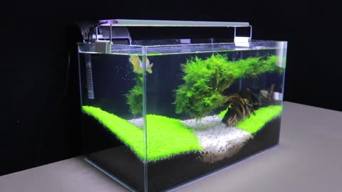 Aquarium DIY at home