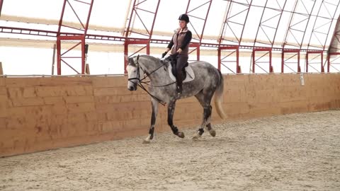 Close up young attractive woman riding horse on farm sport