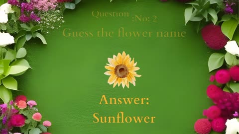 Flower Quiz Game