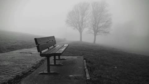 A simple park bench