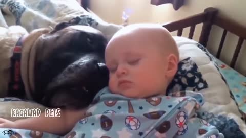 Dog mimics the baby Snores While Sleeping, Funny Dog Video Compilation, Can't Stop Laughing