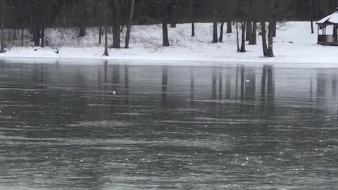 Frozen singing lake