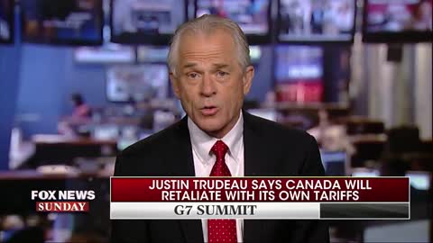 Peter Navarro says there is a 'special place in hell' for Canadian PM