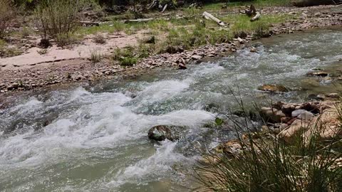 The Virgin River in Zion National Park April 2022