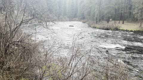 Hiking The End Section of Incredible West Metolius River Trail – Central Oregon – 4K