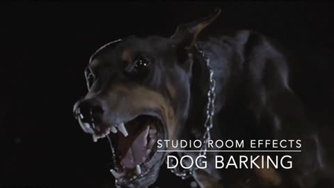 Dog barking sound effect copy right free