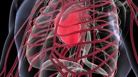 Basic of heart usage