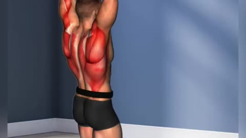 Best Back Workout Exercises