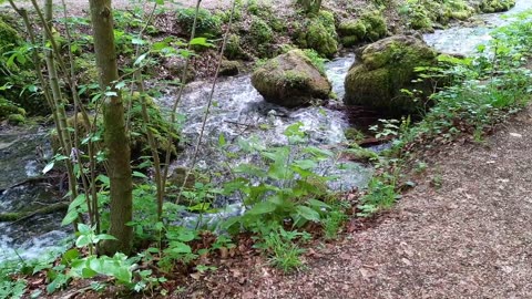 Relaxing River Sounds - HD 1080p - Nature Video