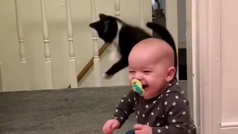 Cute baby running a cat come back