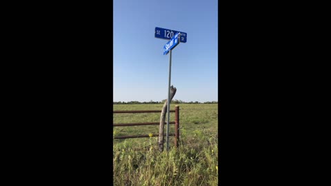 Dangerous antenna tower near Beaumont, KS (07S)