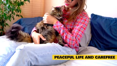 Amazing Mental Health Benefits of Having Cats, No. 2 Will Surprise You