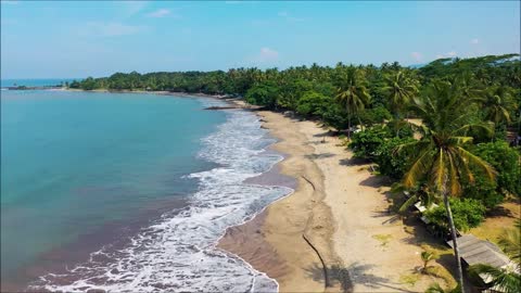 Música Naturaleza