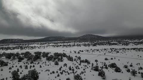 High Desert Snow