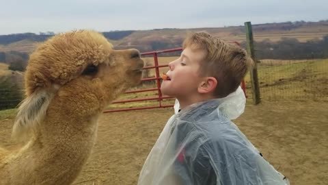 Funny Babies With Animals At The Zoo | Try not to laugh |