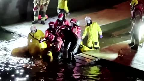 Rescuers free a whale in London's River Thames